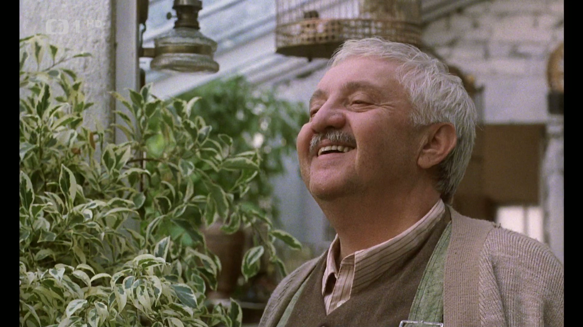 Фильм Все мои близкие (1999)